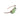 Solbrille BBB ARC FLUX GREEN matt trans camel BSG-82