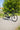 Winther Dame Elcykler