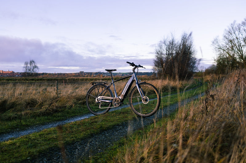Nishiki Dame Elcykler