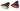 Bike Attitude Ground lygtesæt 1 COB USB-genopladelig 10040 lumen