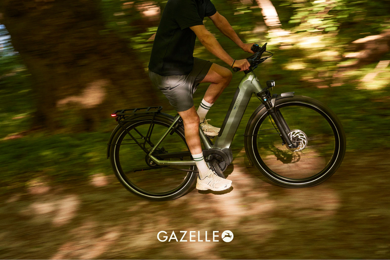 Gazelle Herre Elcykler